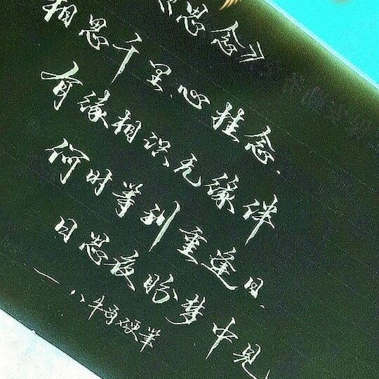 谢栋