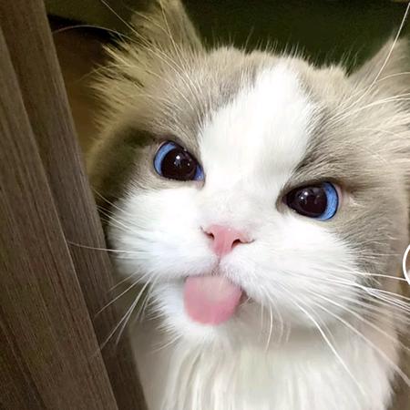 你。。