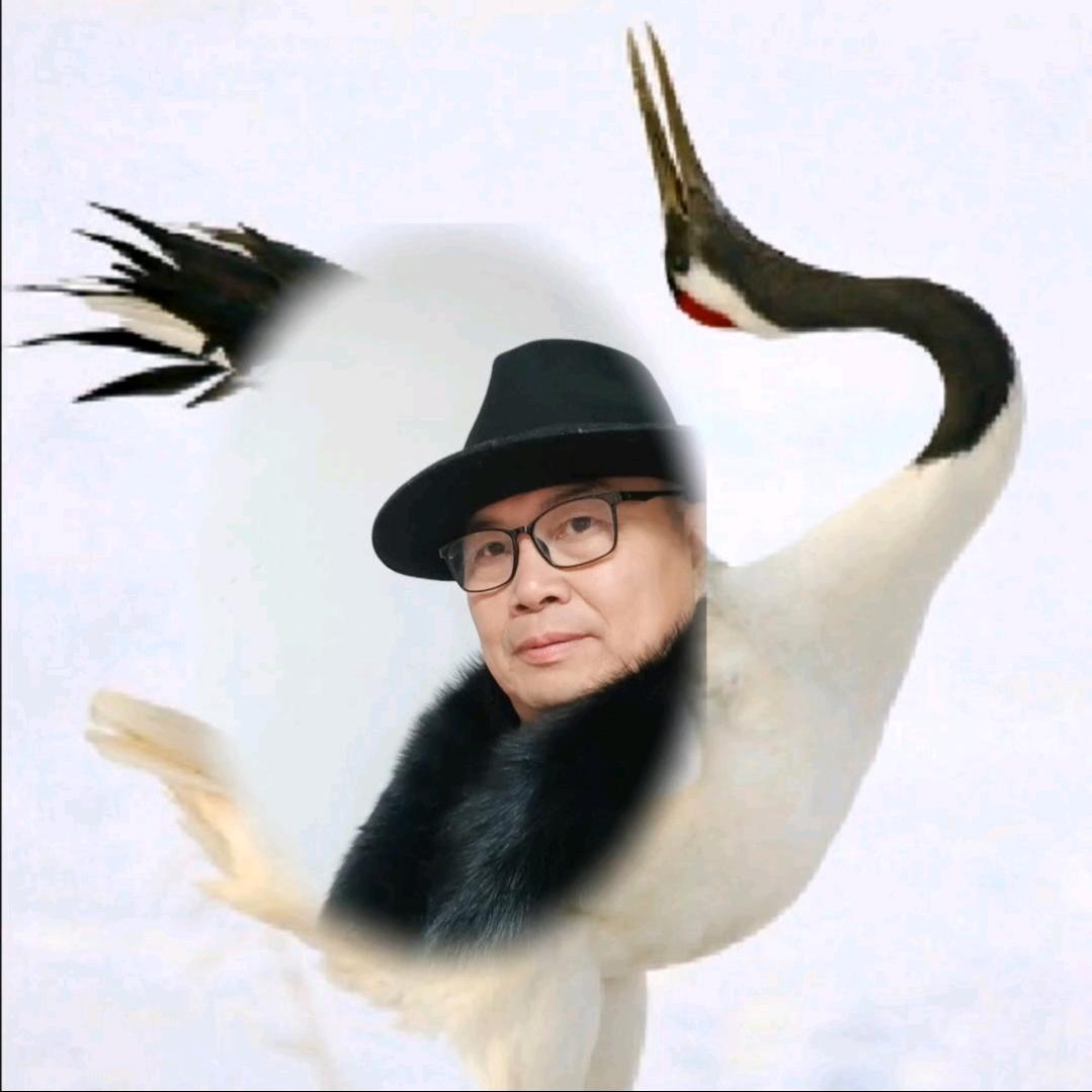 闲云孤鹤