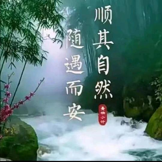 就那么爱你也没用