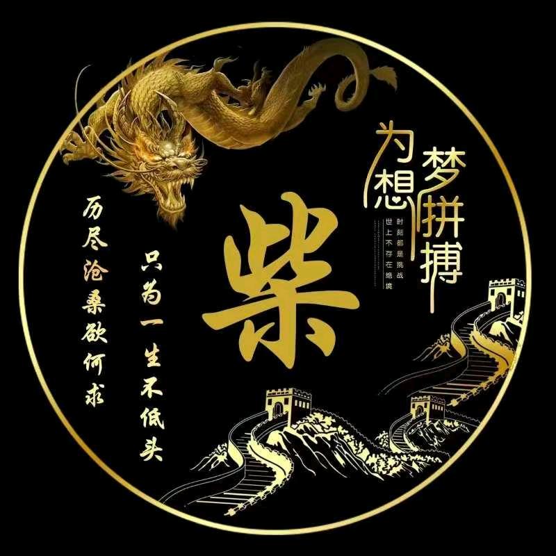 科技up柴