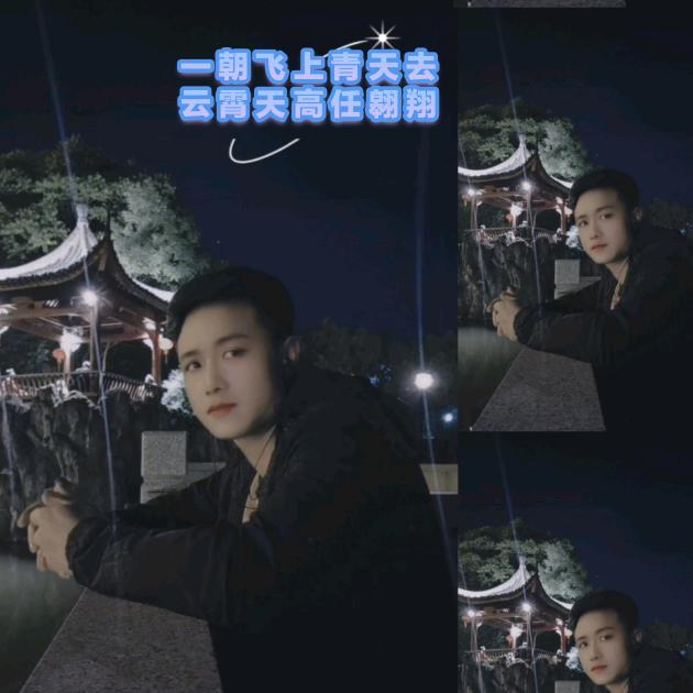 一朝飞上青天去 云霄天高任翱翔