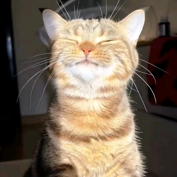 阿海·-【ZD九門】