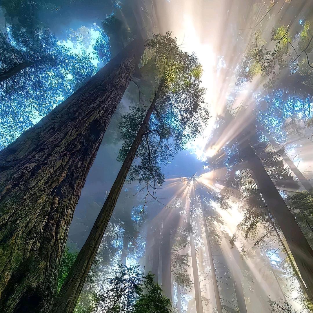 天艺装饰设计师-刘征