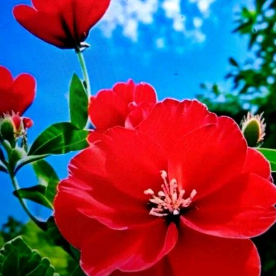 想起过去真的挽回不了