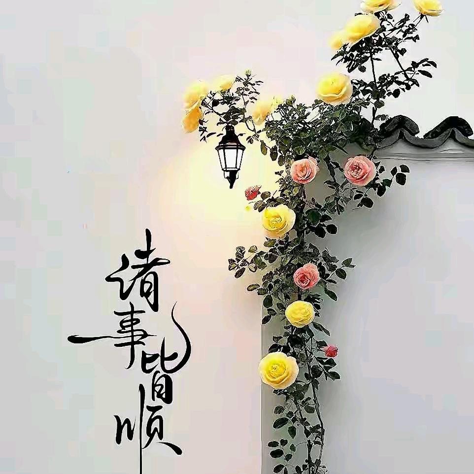@锦鸿