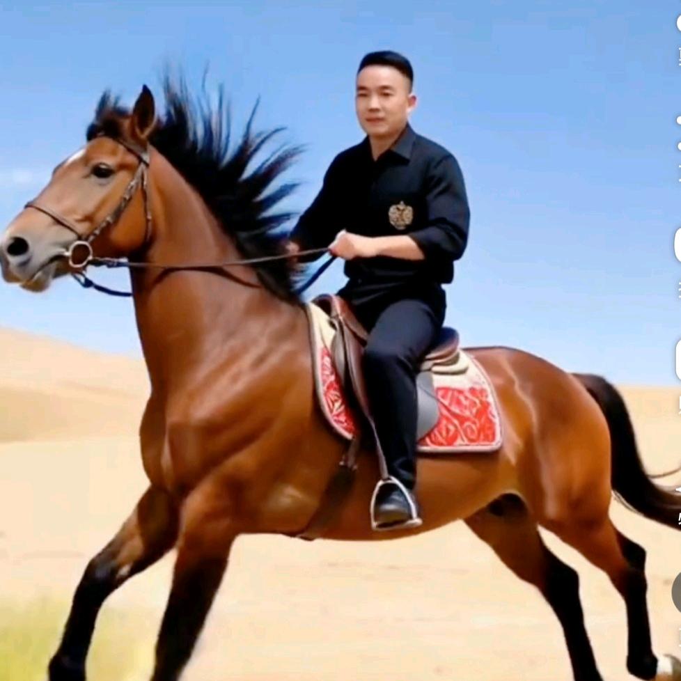 奔跑的云☁️
