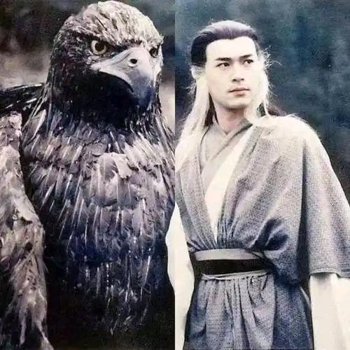 雕侠