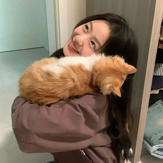 向上的小宇宙