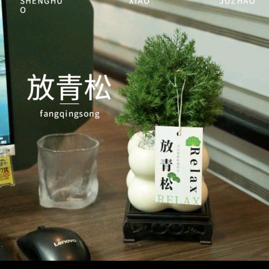 鲜花卖全国花儿美美
