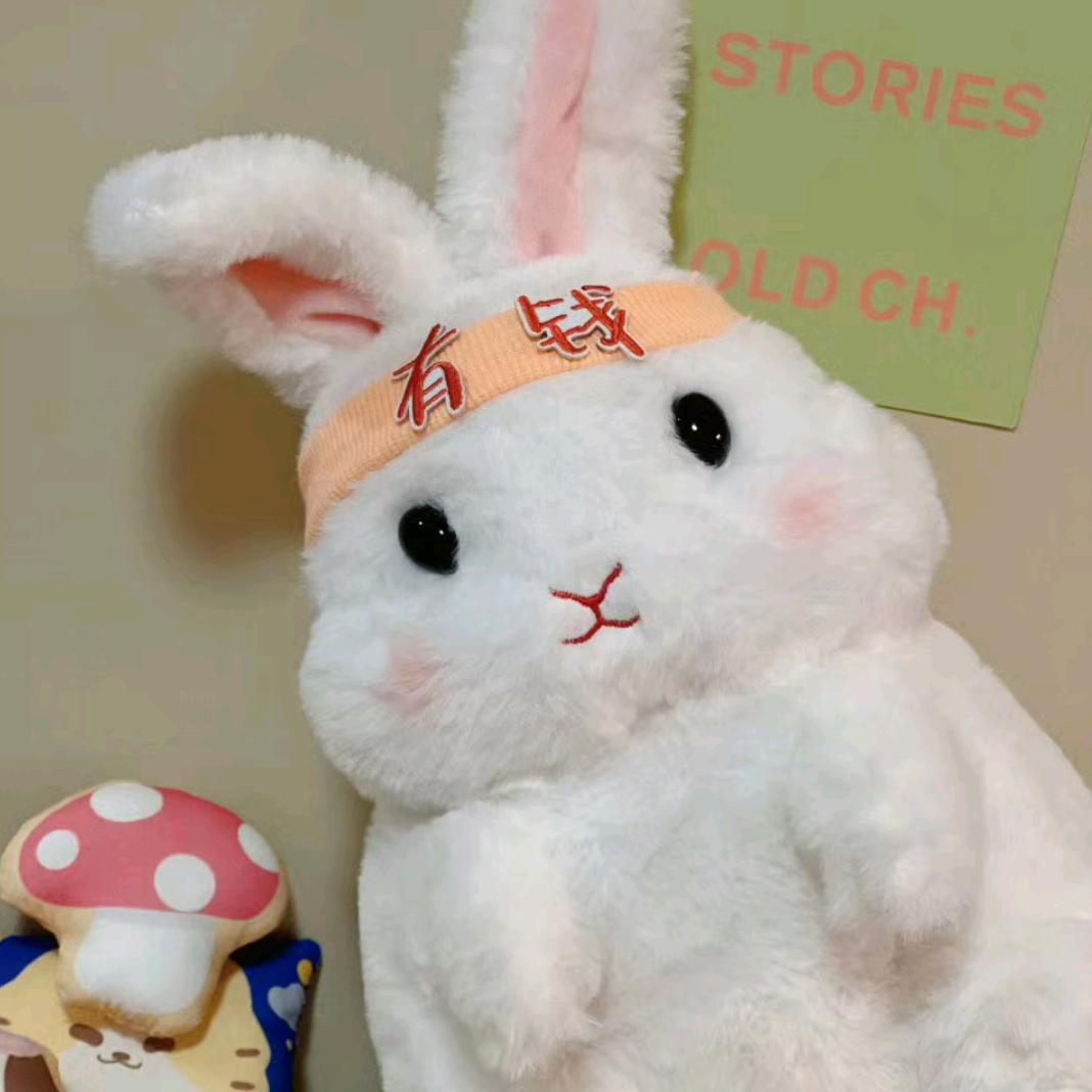 梦动长沙舒茹贸易直播号