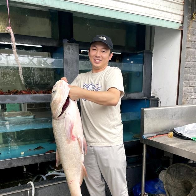 南门高老太 陶立