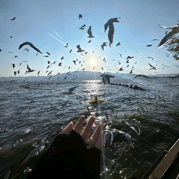 倾城不及你一笑