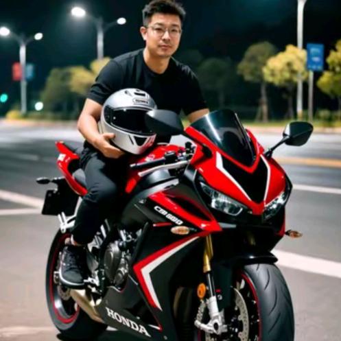 一个孤独的骑士