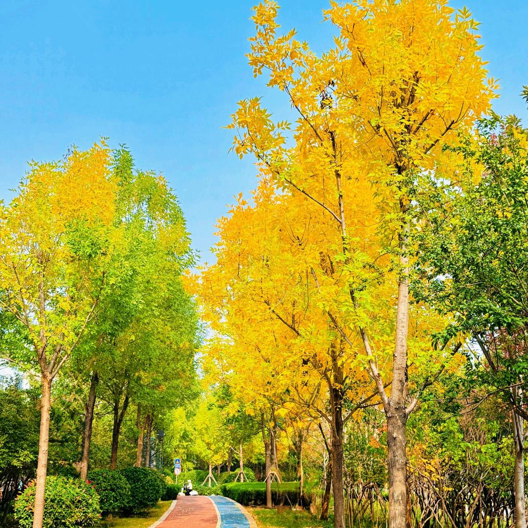 每天有个好心情。