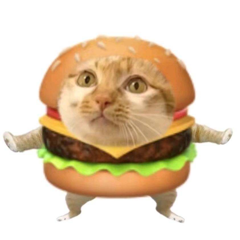 猫meme.