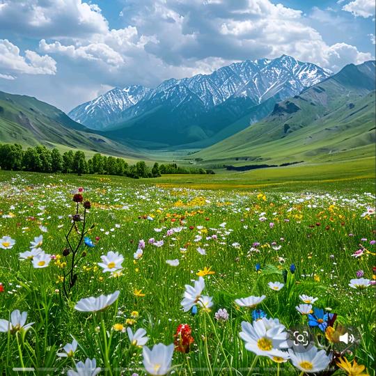 🚬᭄ཽ࿆渡己࿐