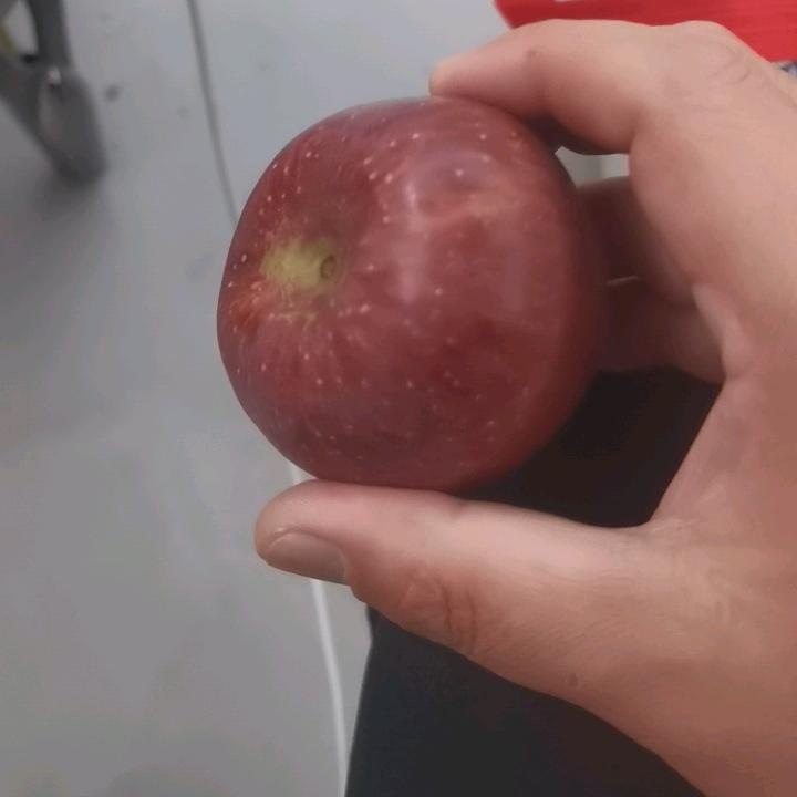 世事難料头像