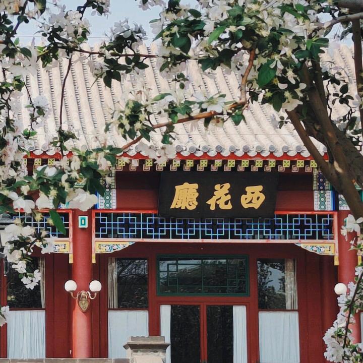 董先生🇨🇳🌟