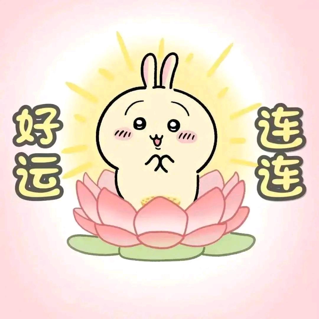 已上岸的Nancy学姐