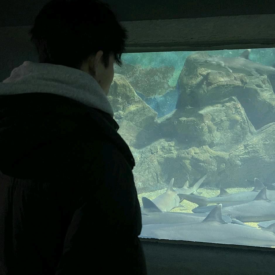 浩浩浩浩浩浩