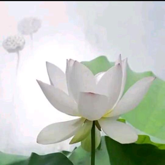 ༄࿄࿆༼ༀ拐个弯就到了ༀ༽࿅࿆༄