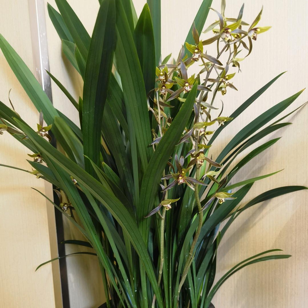 江西宇欣实验 赖海宝