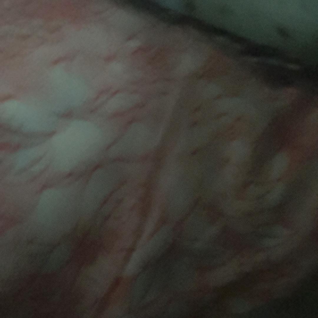 用户636147680
