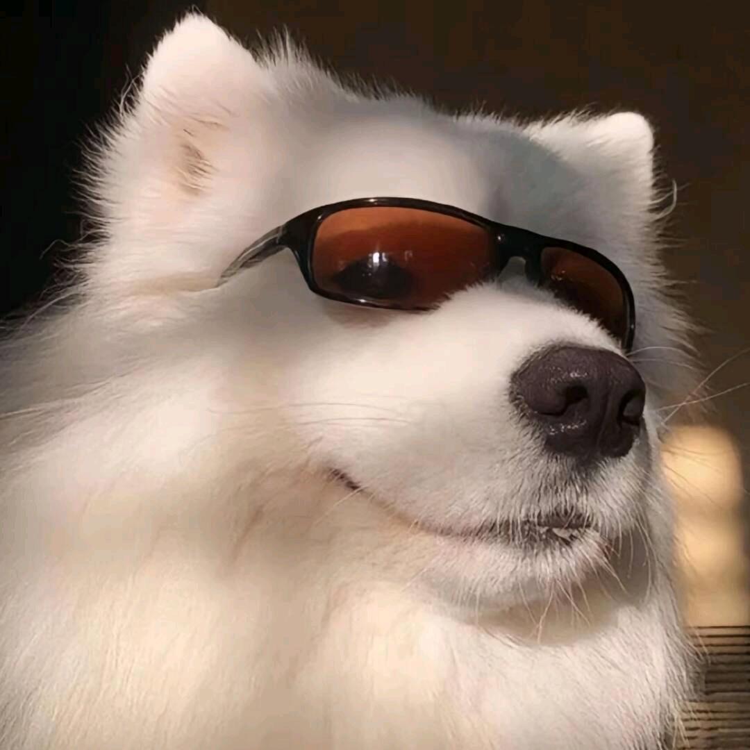 ～～依  旧🇨🇳