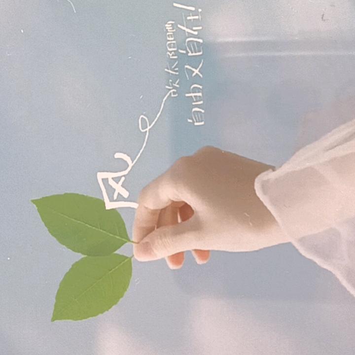 往事～随风