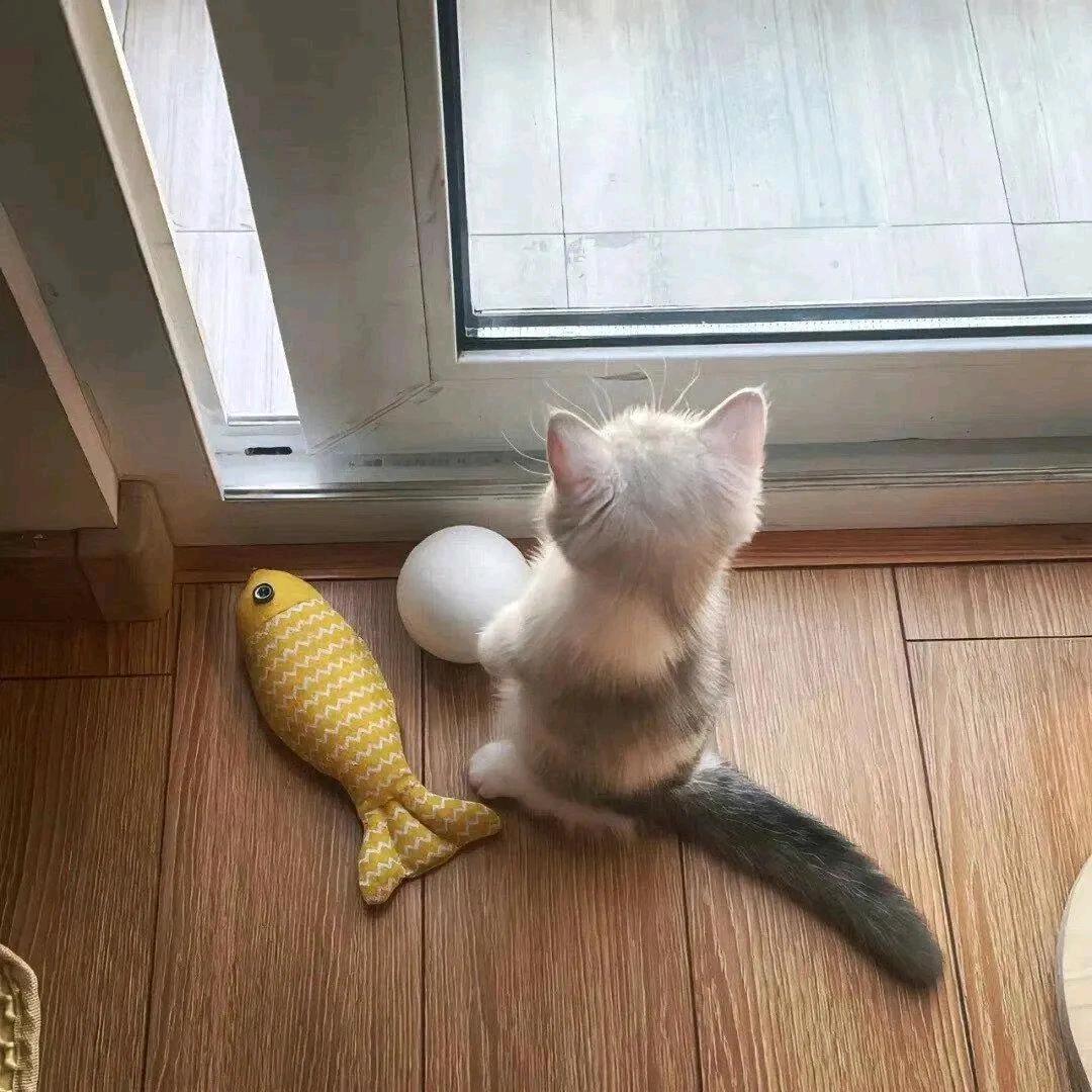 lu,lu