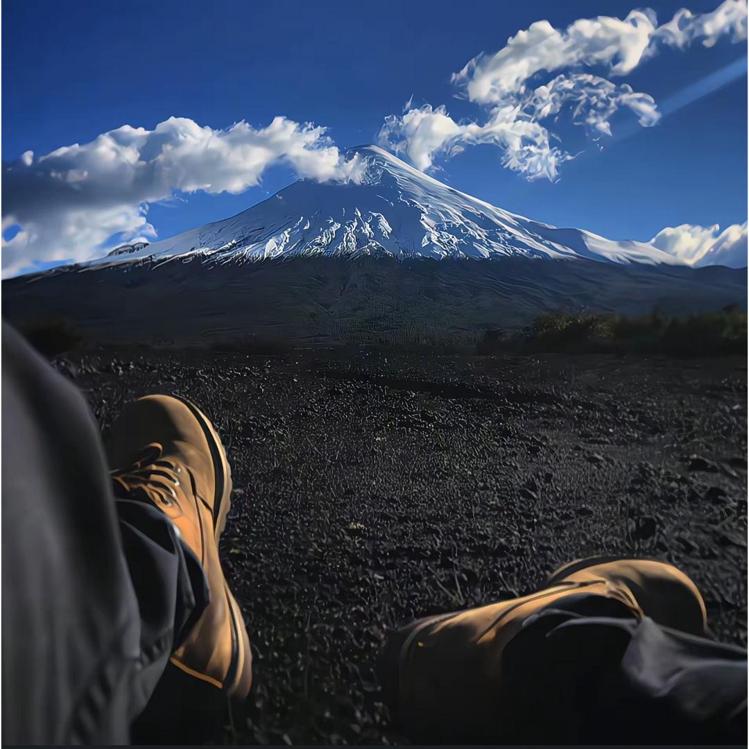 𝑋𝑄·向前