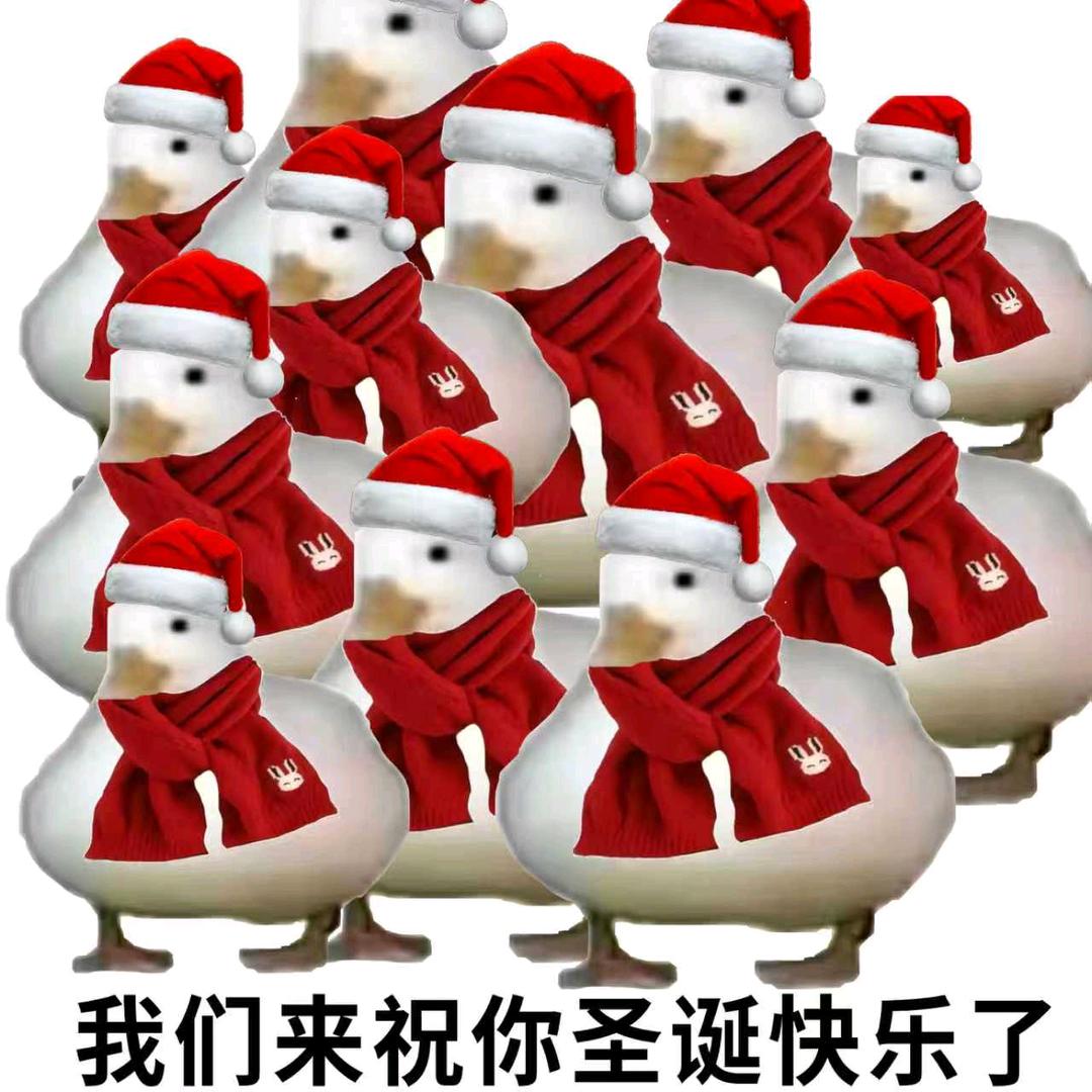 晓圣zzz