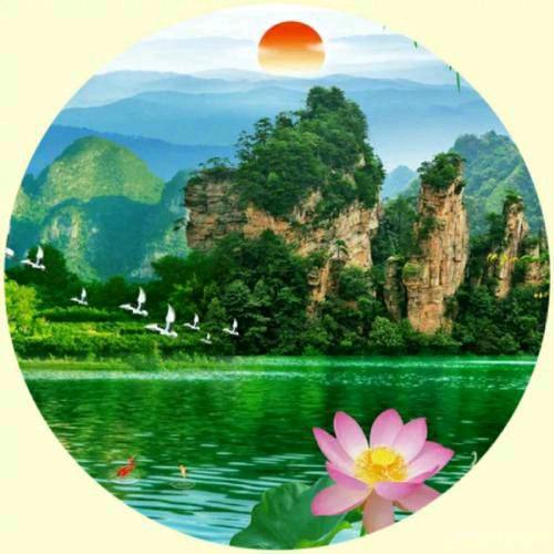 陈先生~封心锁爱