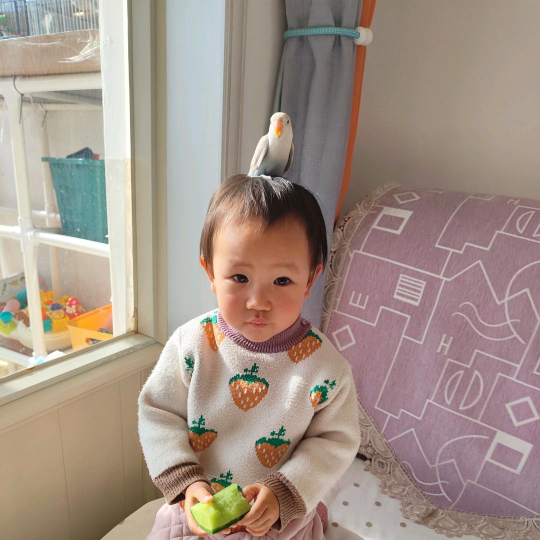 一诺丸子