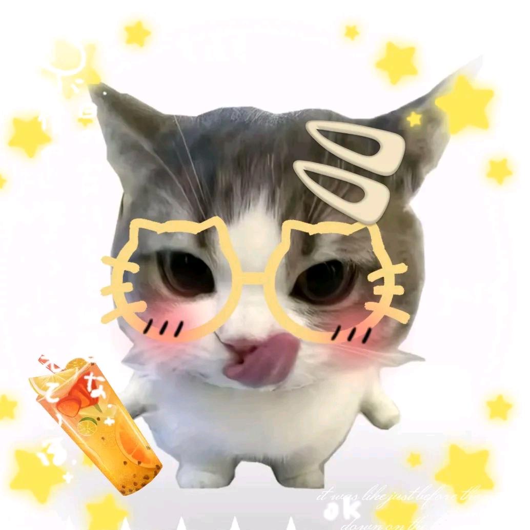 可愛𝙆𝙞𝙩𝙩𝙮猫