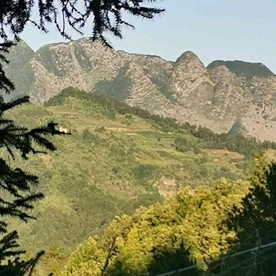 🐍¹⁹₇₇秀姐