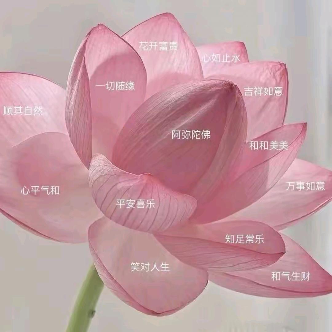 知名社恐患者
