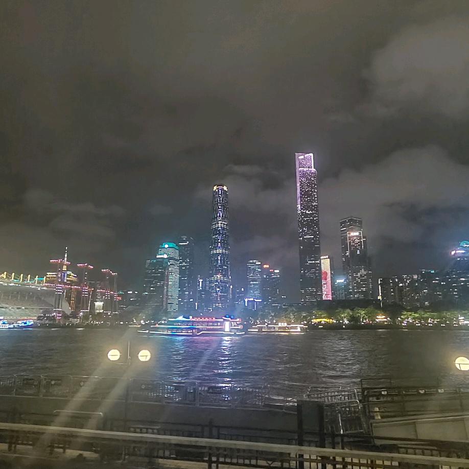 威迪特