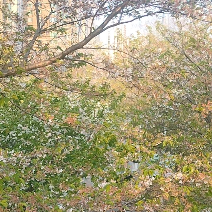 ，嘻嘻嘻