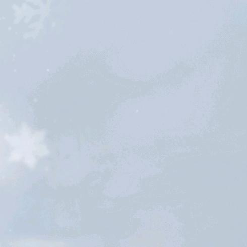 爱情故事小跟班