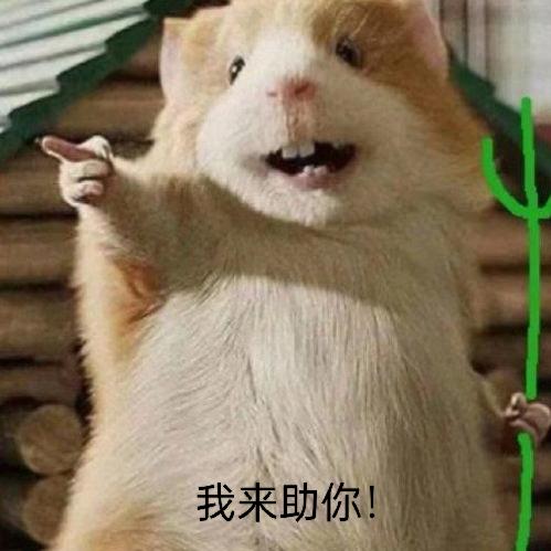 我嘞个豆