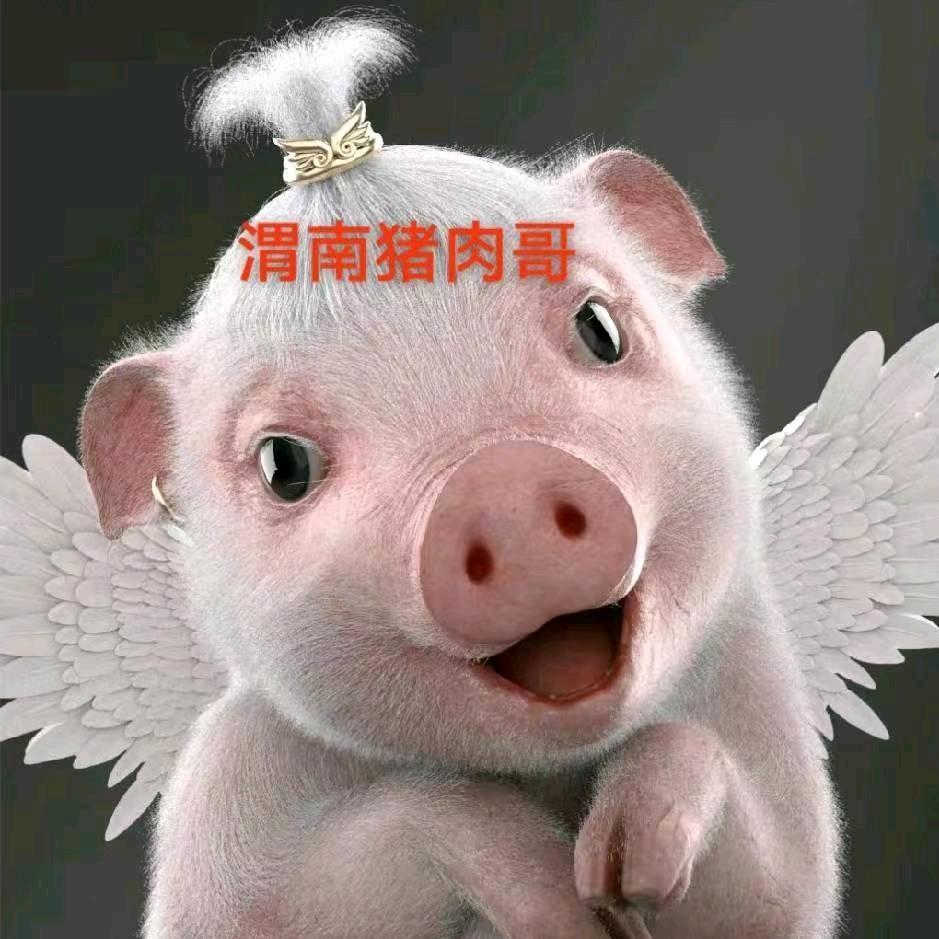 渭南🐷肉哥