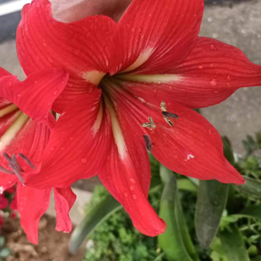 岁月静好🌺