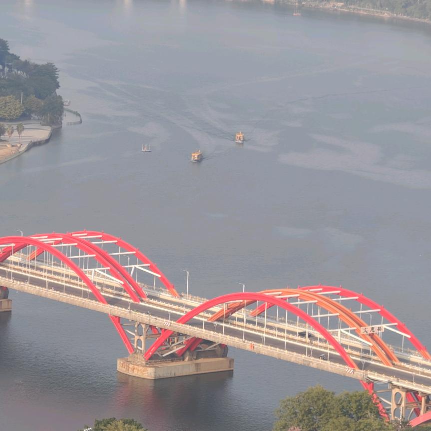 不要钓鱼了兄弟