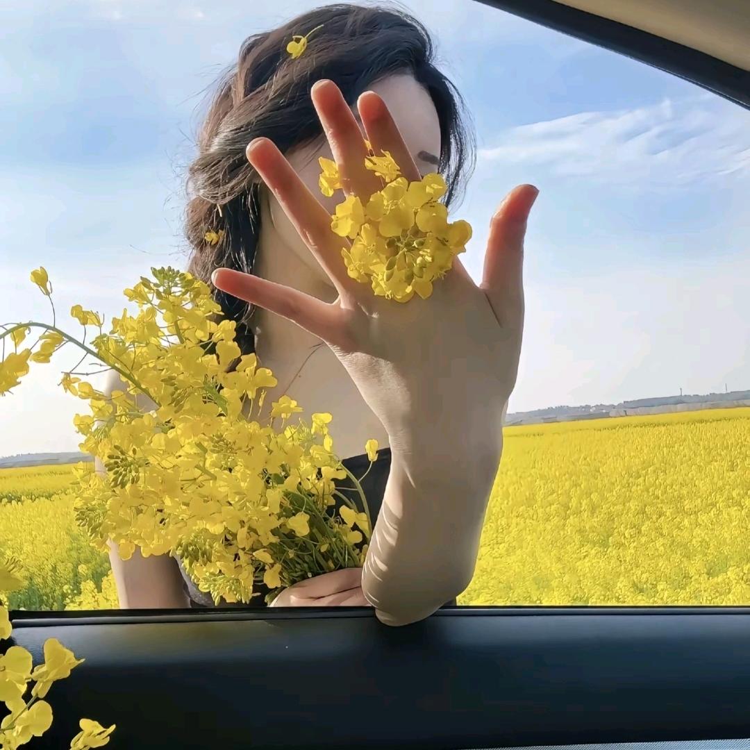 🤍一拳打穿烦恼.头像