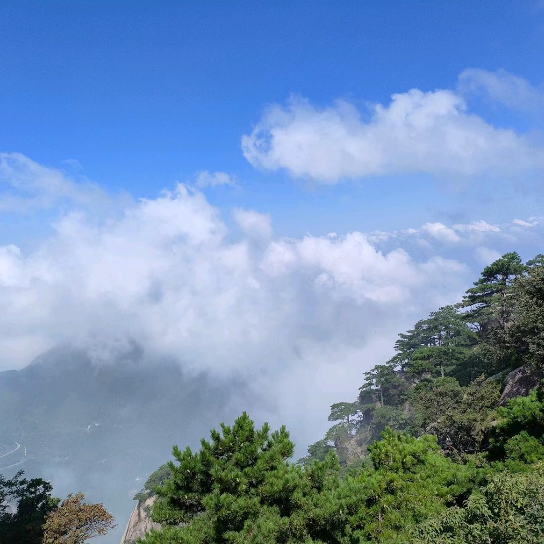 勇闯天涯。