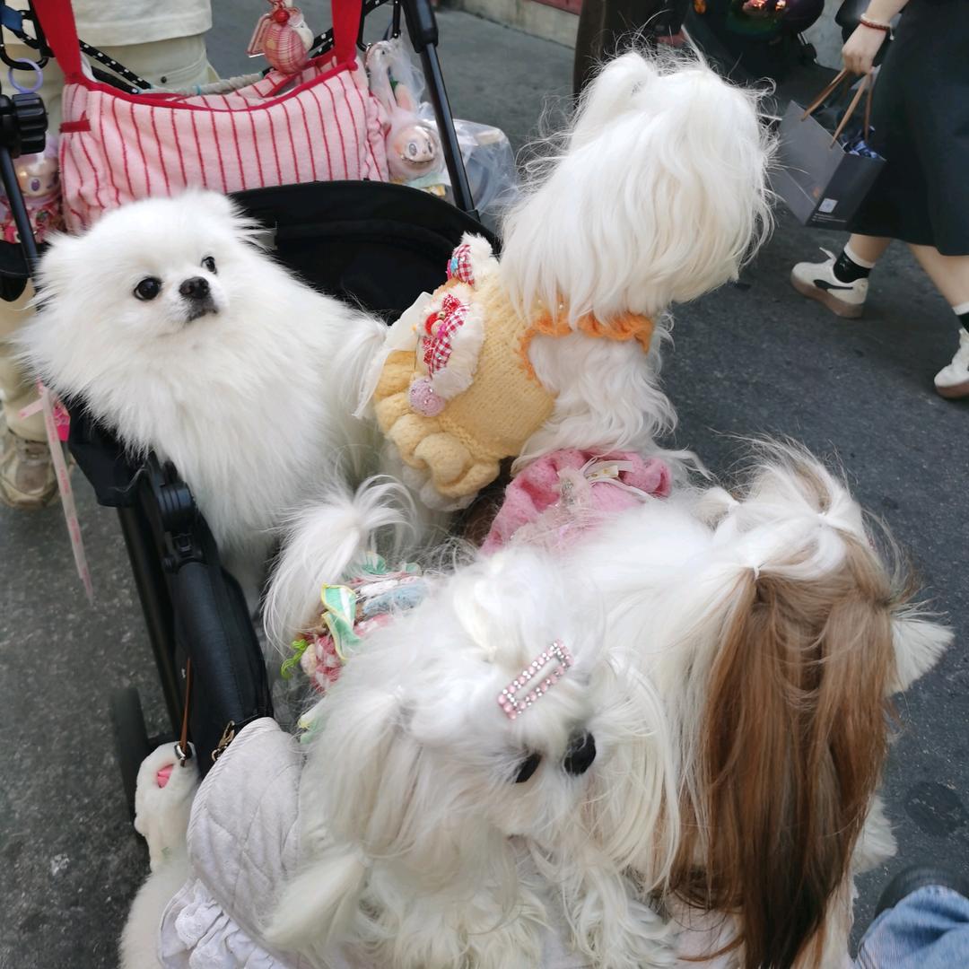 心愿便利贴头像