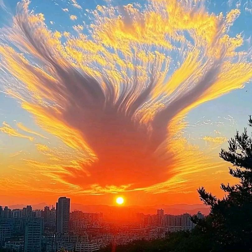笑对明天