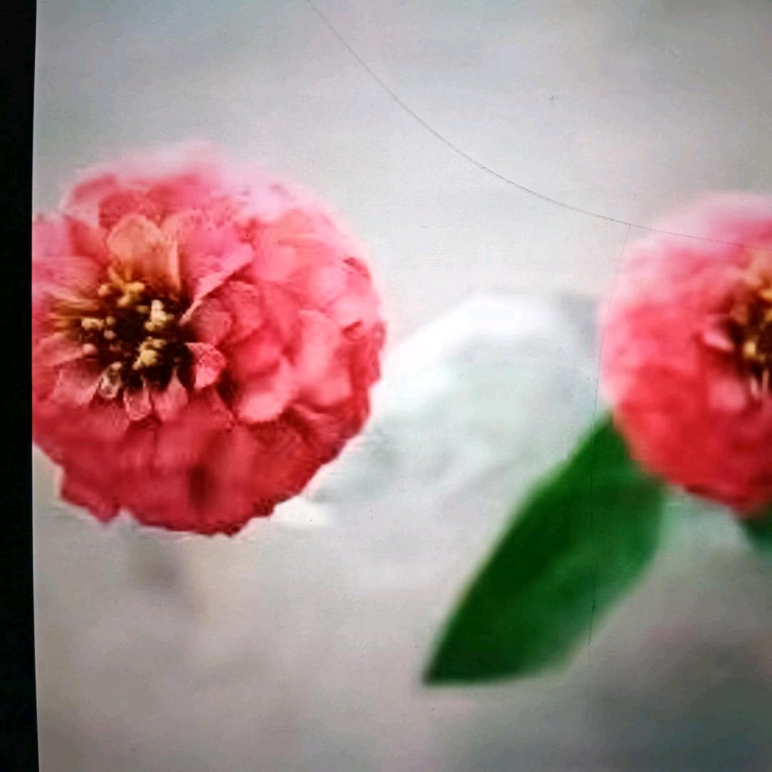 流浪少爷